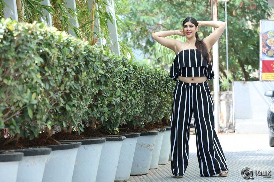 Actress-Aditi-Singh-Latest-Photos